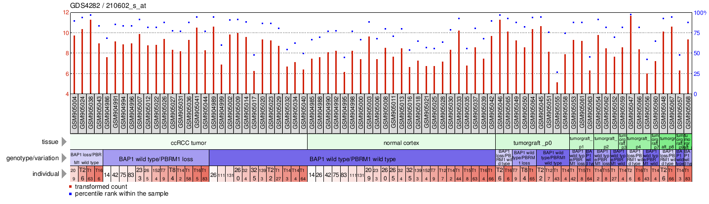 Gene Expression Profile