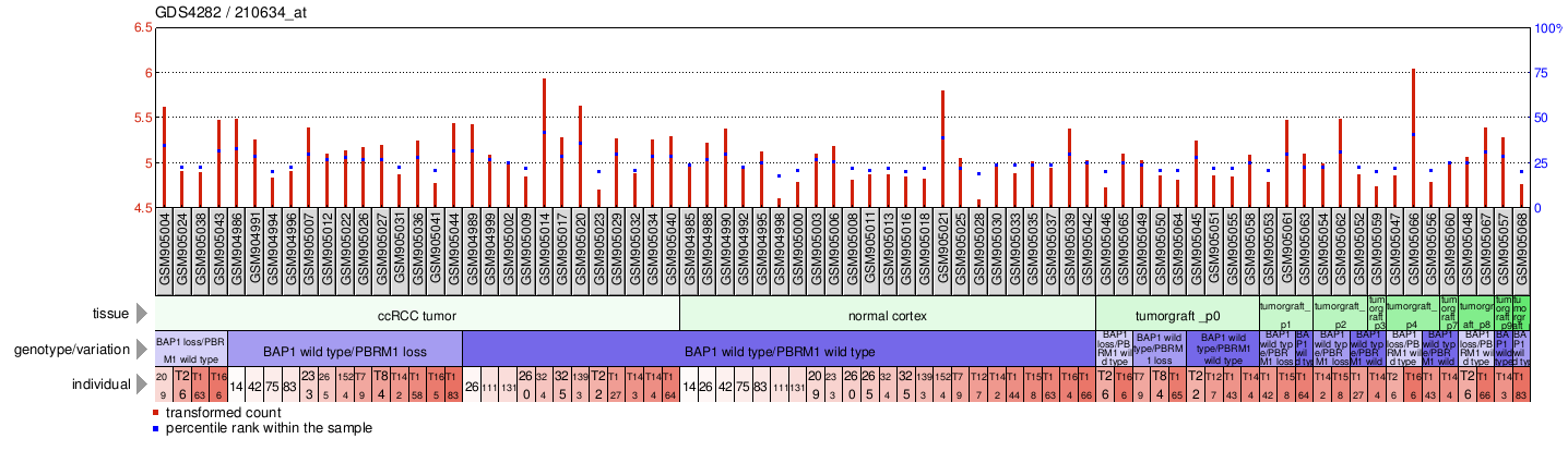 Gene Expression Profile