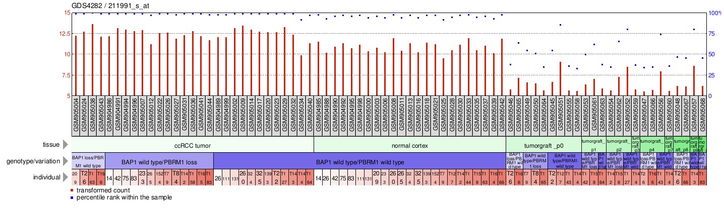 Gene Expression Profile