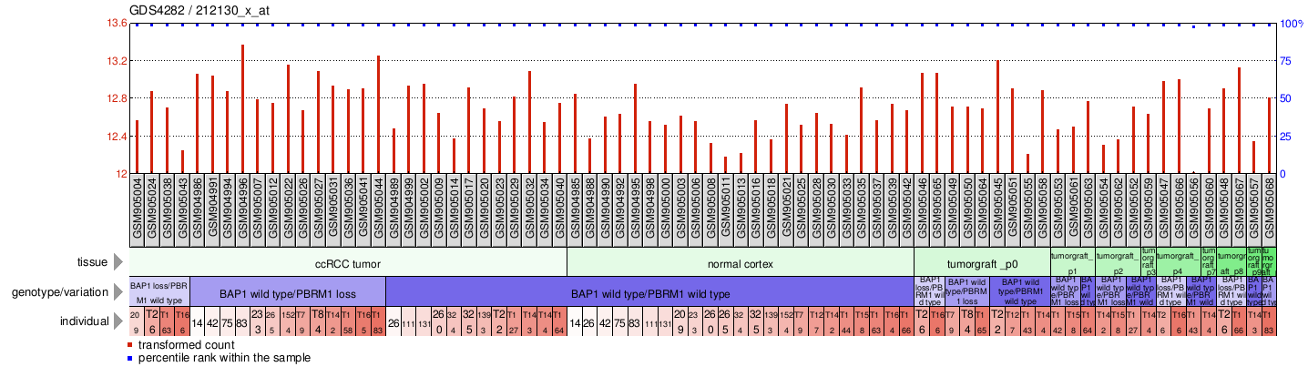 Gene Expression Profile