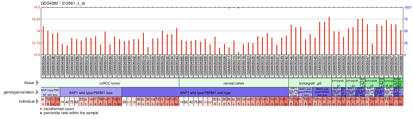 Gene Expression Profile