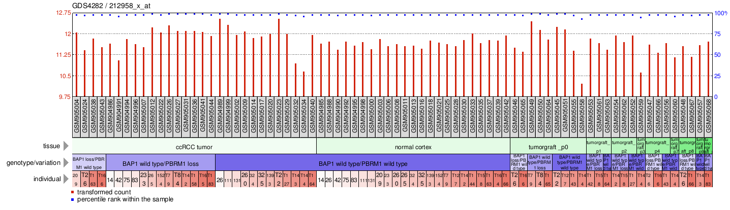 Gene Expression Profile