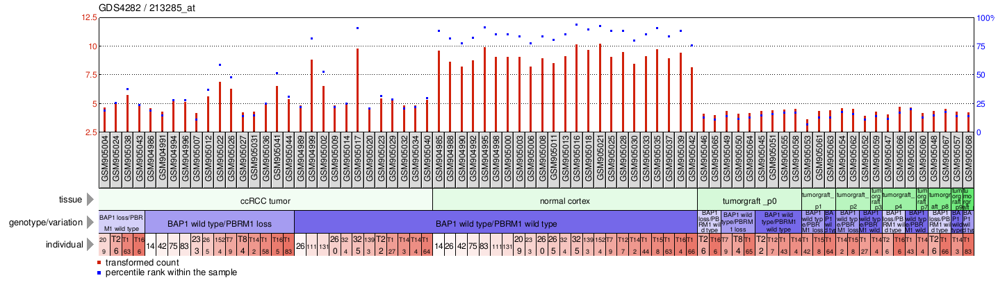 Gene Expression Profile