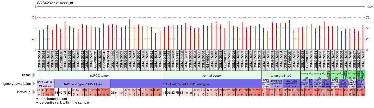 Gene Expression Profile