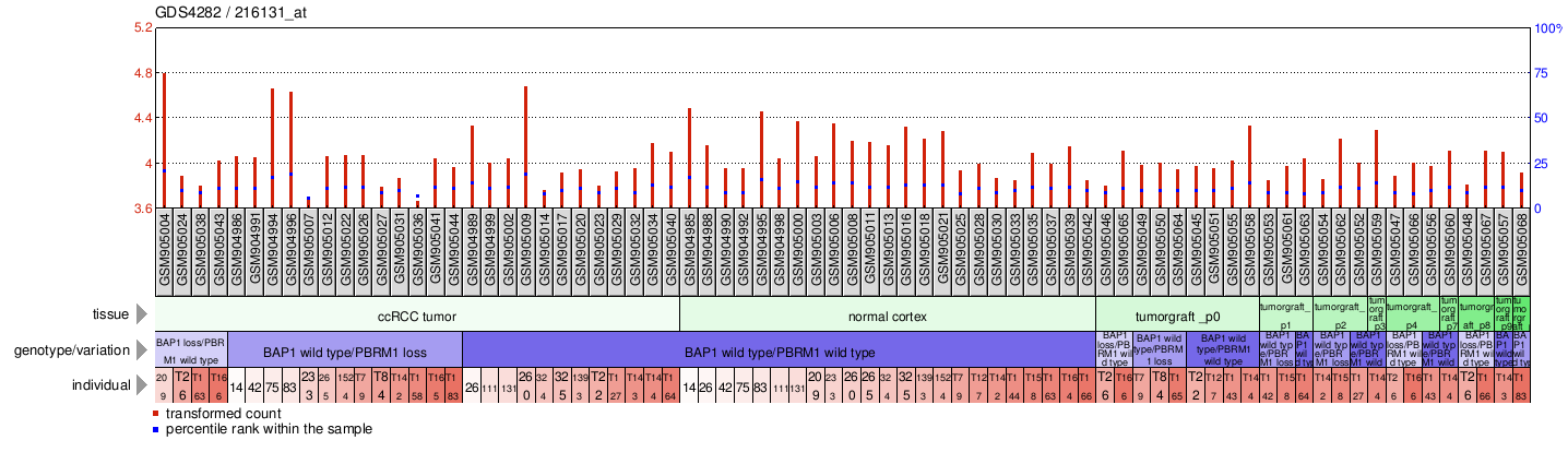 Gene Expression Profile