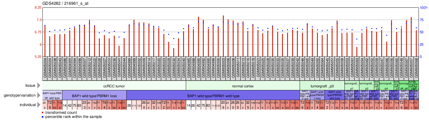 Gene Expression Profile