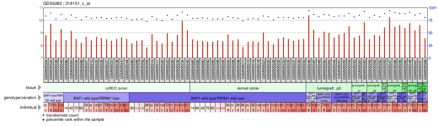 Gene Expression Profile