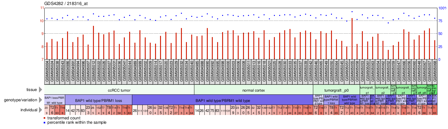 Gene Expression Profile