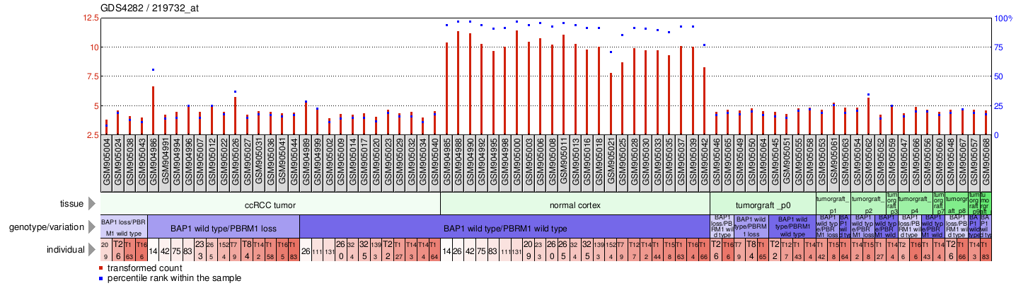 Gene Expression Profile