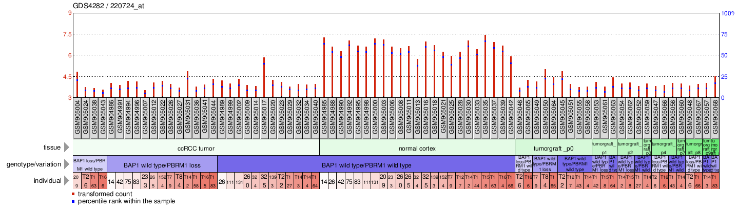 Gene Expression Profile