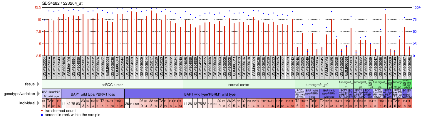 Gene Expression Profile