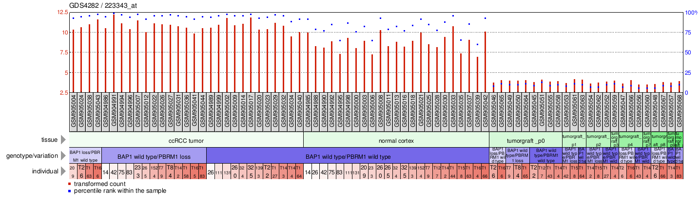 Gene Expression Profile