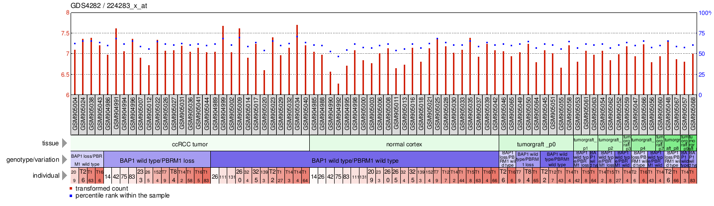 Gene Expression Profile