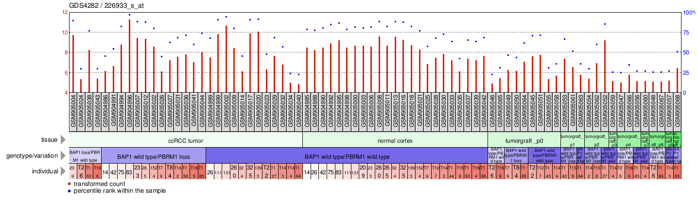 Gene Expression Profile