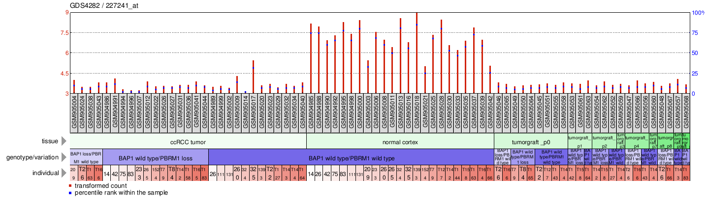 Gene Expression Profile