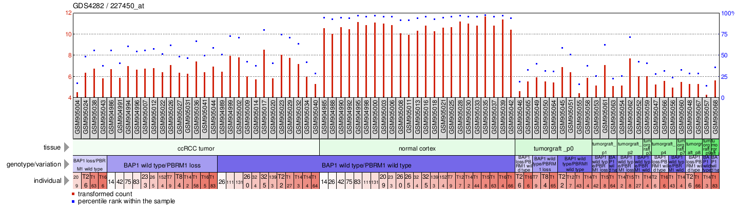 Gene Expression Profile