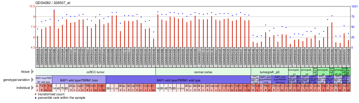 Gene Expression Profile