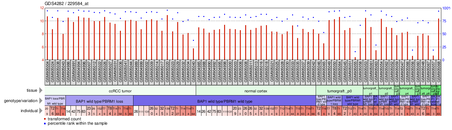 Gene Expression Profile