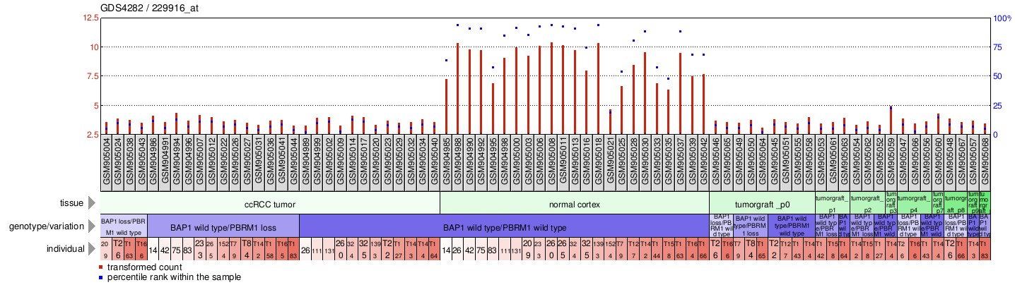 Gene Expression Profile