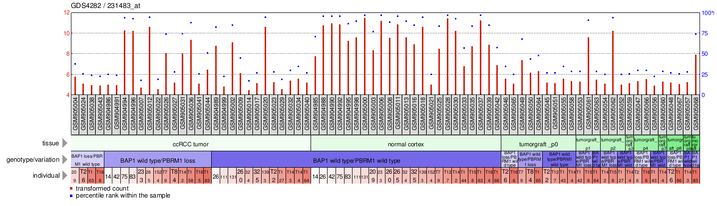 Gene Expression Profile