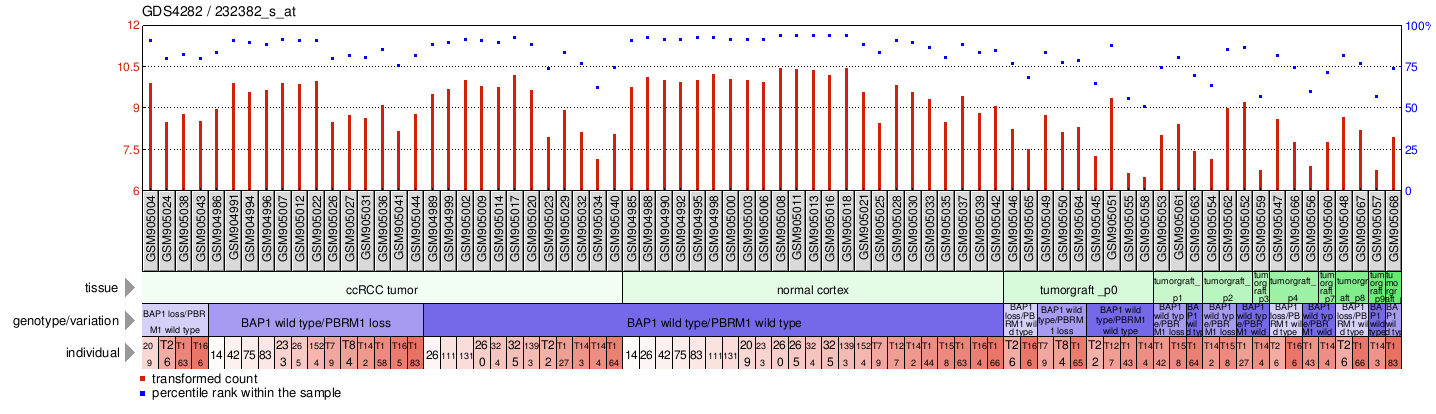 Gene Expression Profile