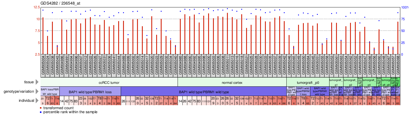 Gene Expression Profile