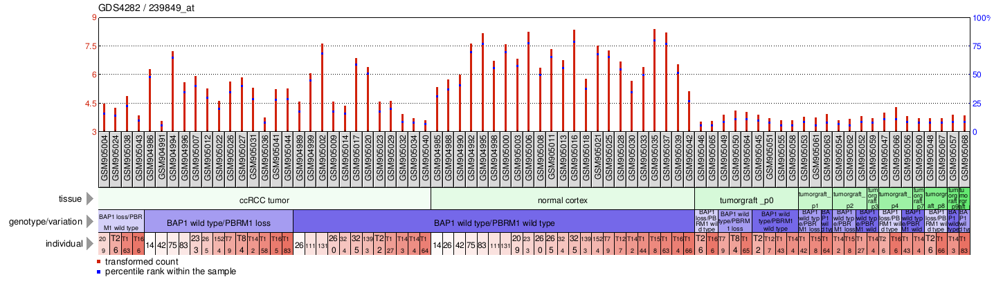 Gene Expression Profile