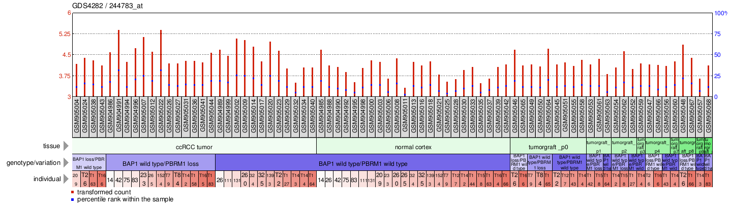 Gene Expression Profile