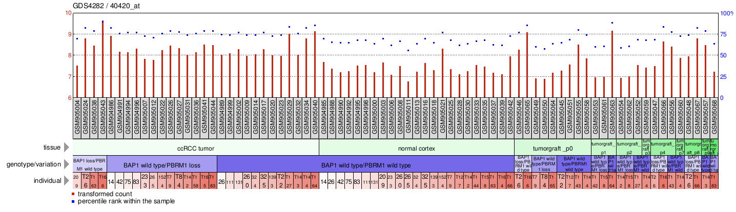 Gene Expression Profile