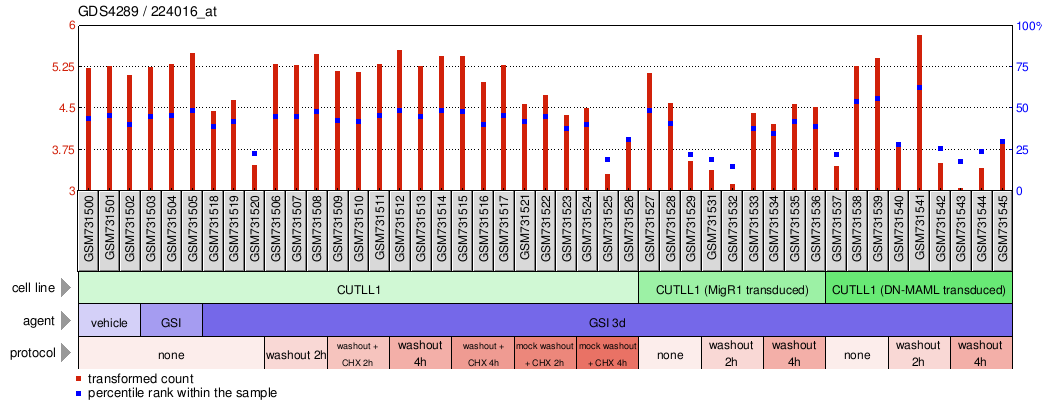 Gene Expression Profile