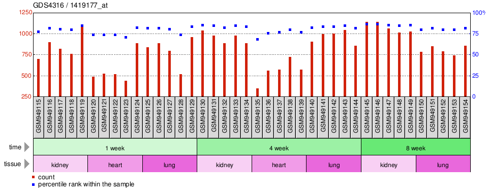 Gene Expression Profile