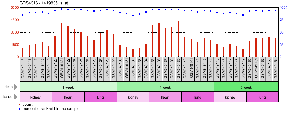 Gene Expression Profile