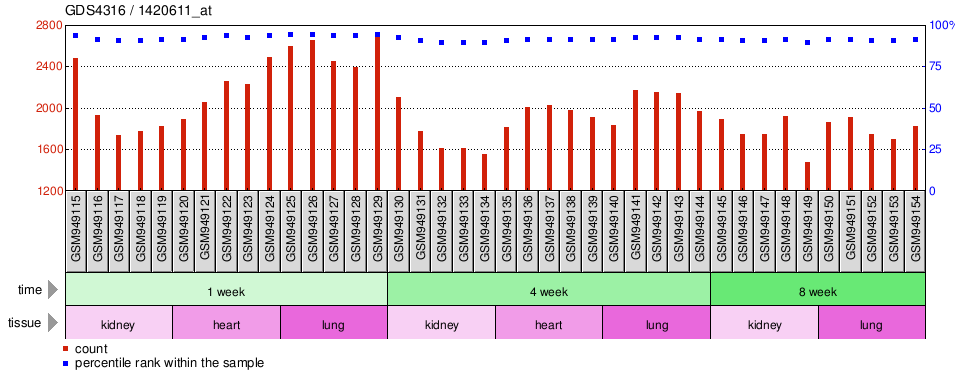 Gene Expression Profile