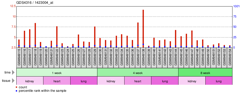 Gene Expression Profile