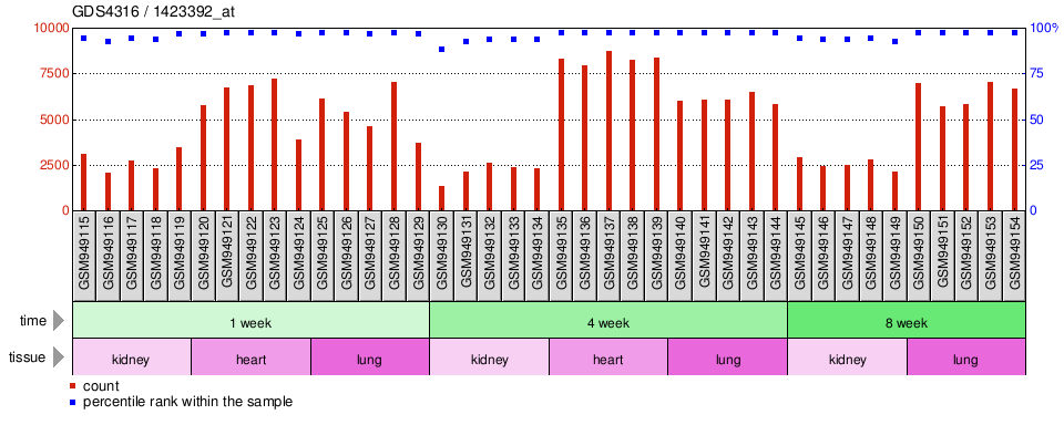 Gene Expression Profile