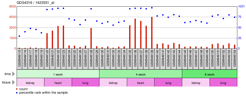 Gene Expression Profile