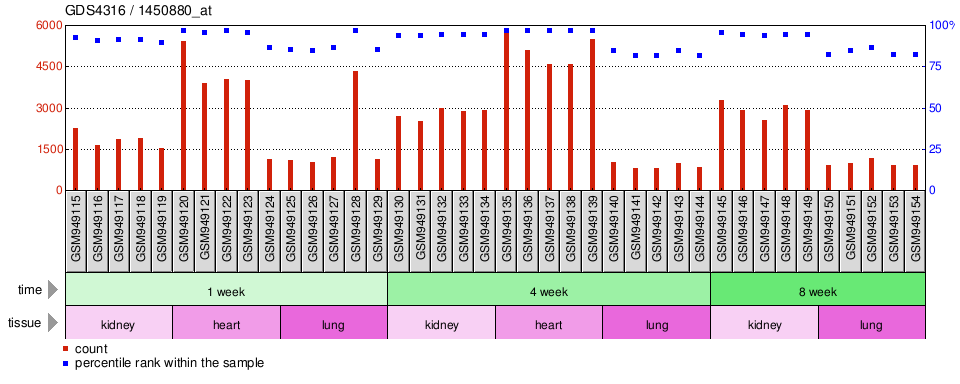 Gene Expression Profile