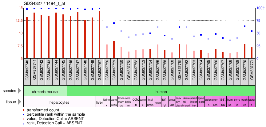 Gene Expression Profile