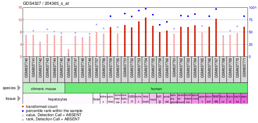 Gene Expression Profile