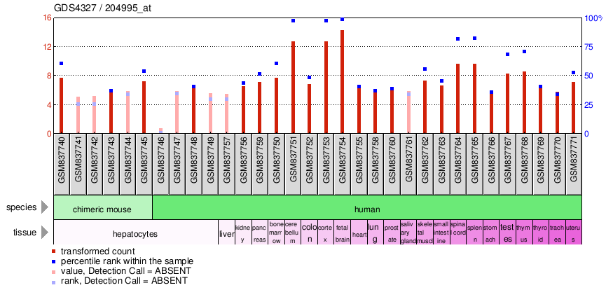 Gene Expression Profile