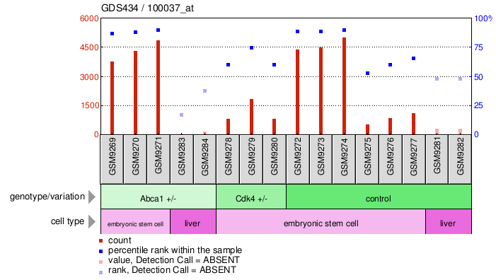 Gene Expression Profile