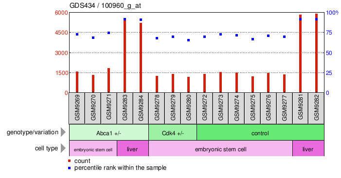 Gene Expression Profile