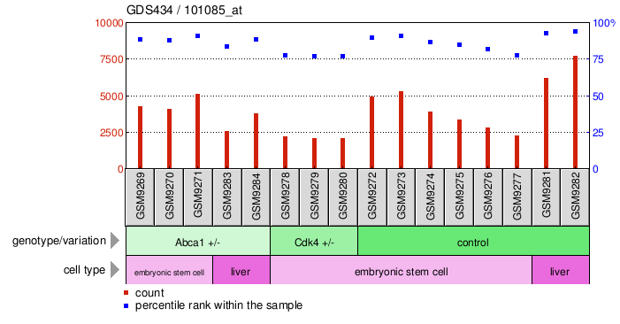 Gene Expression Profile