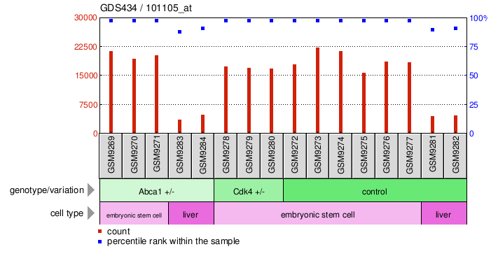 Gene Expression Profile