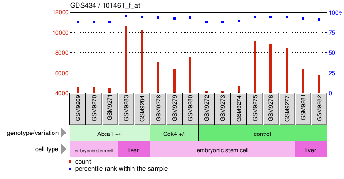 Gene Expression Profile