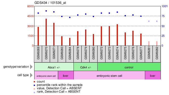 Gene Expression Profile