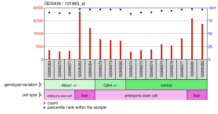 Gene Expression Profile