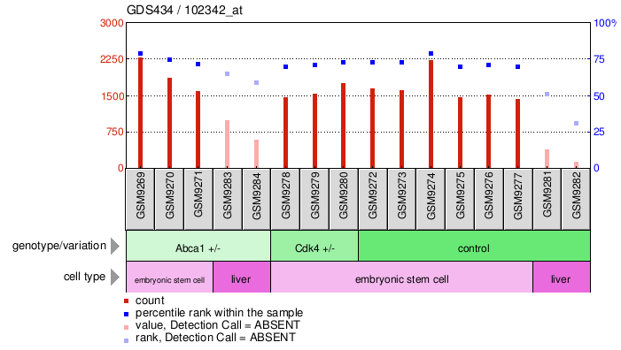 Gene Expression Profile