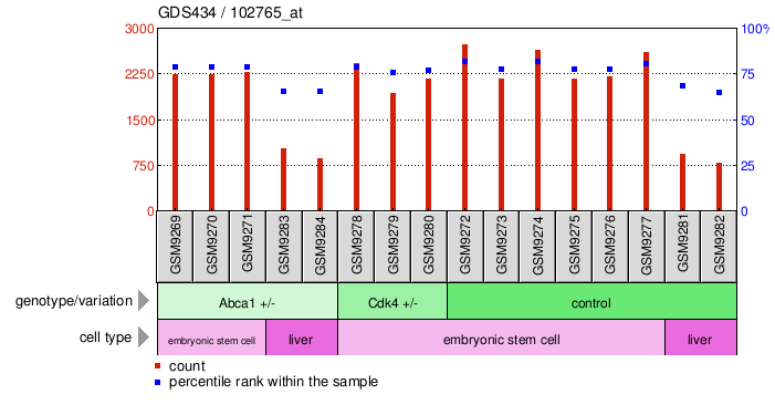 Gene Expression Profile