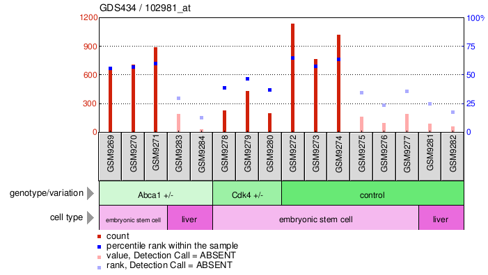 Gene Expression Profile